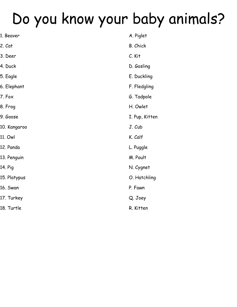 Do you know your baby animals? Worksheet