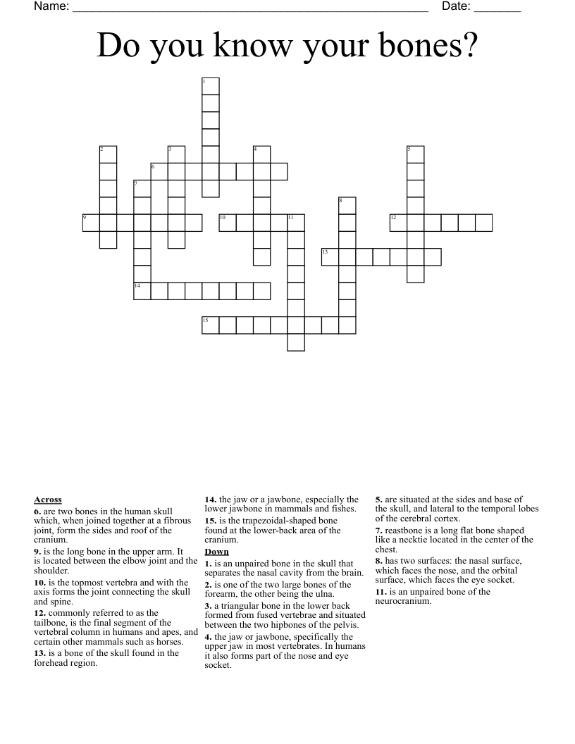 Do you know your bones? Crossword
