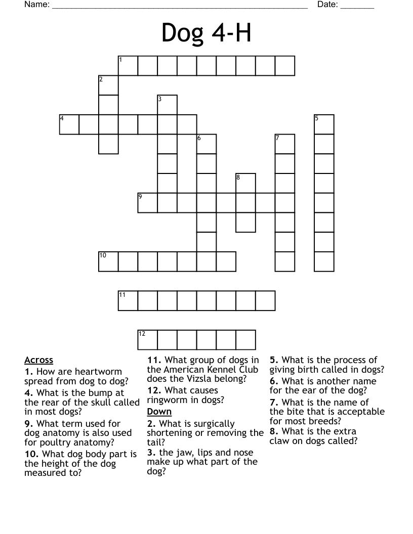 Dog 4-H Crossword