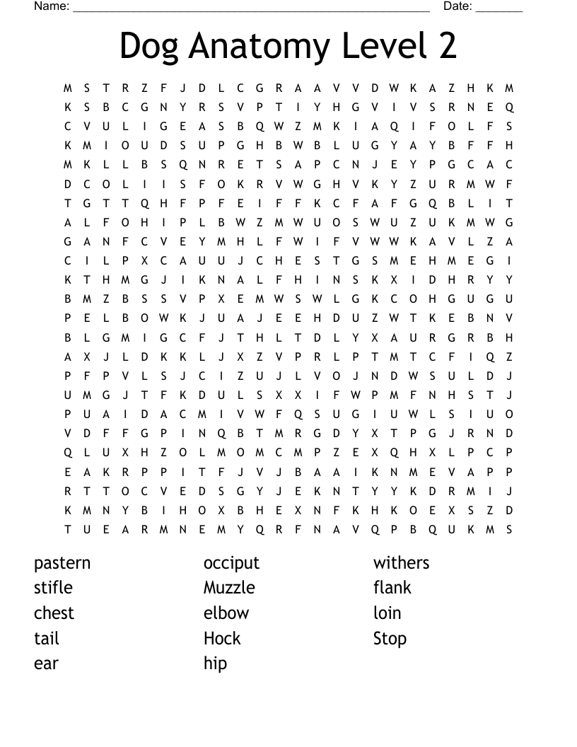 Dog Anatomy Level 2 Word Search