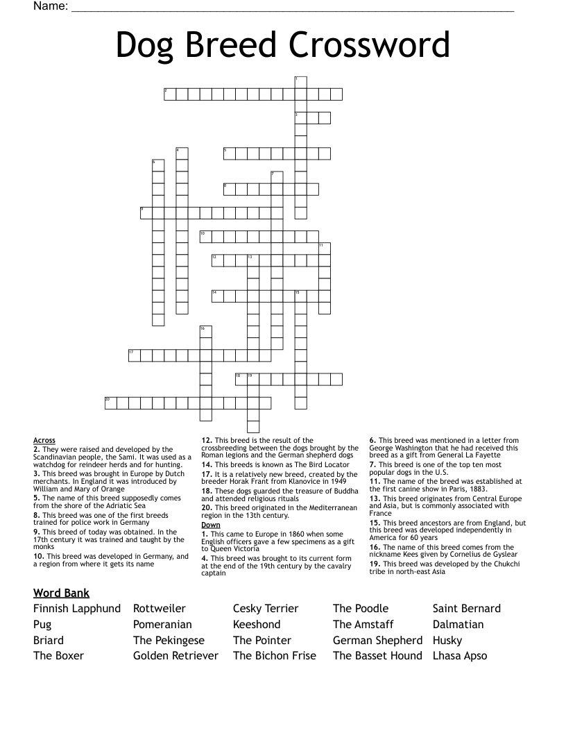 Dog Breed Crossword 