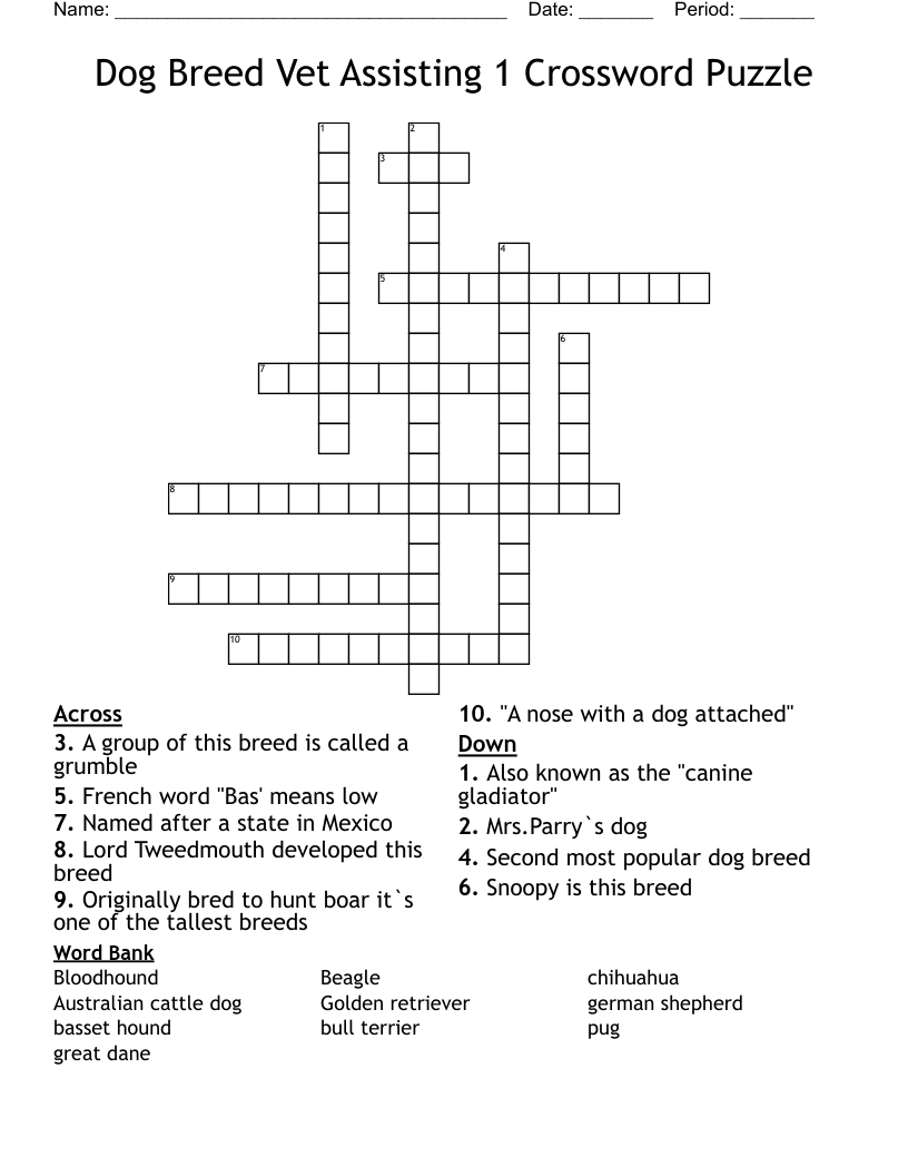 Dog Breed Vet Assisting 1 Crossword Puzzle