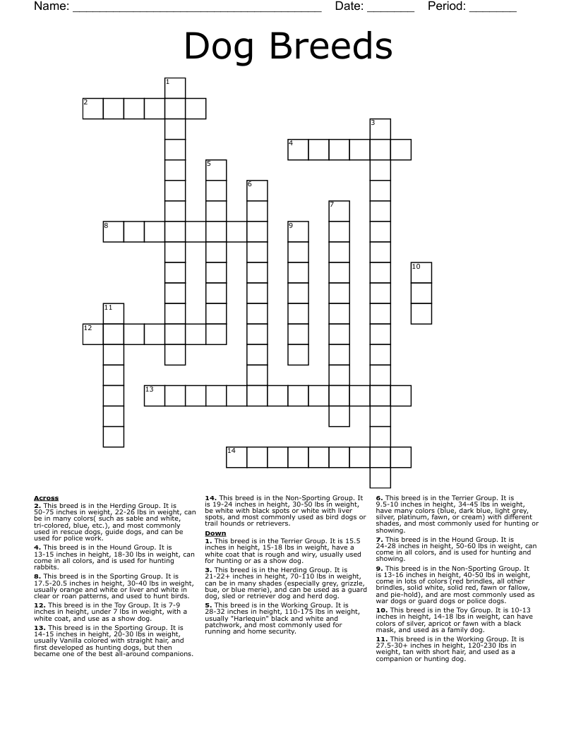Dog Breeds Crossword
