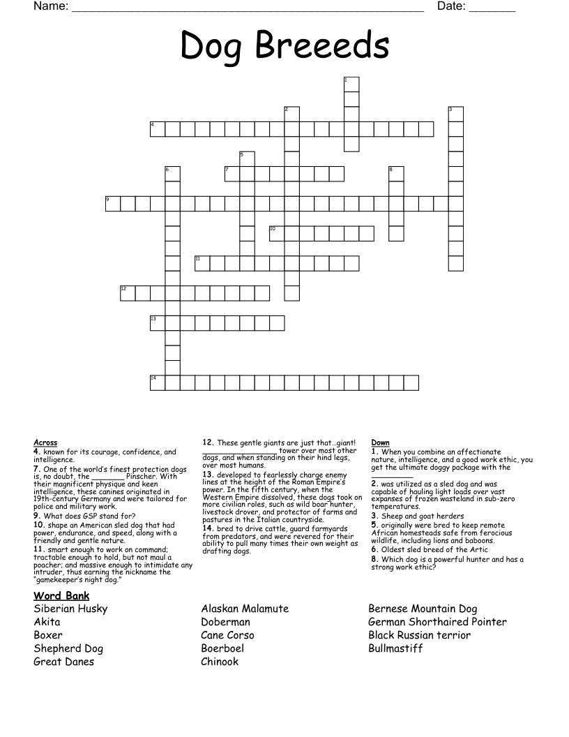 Dog Breeeds Crossword