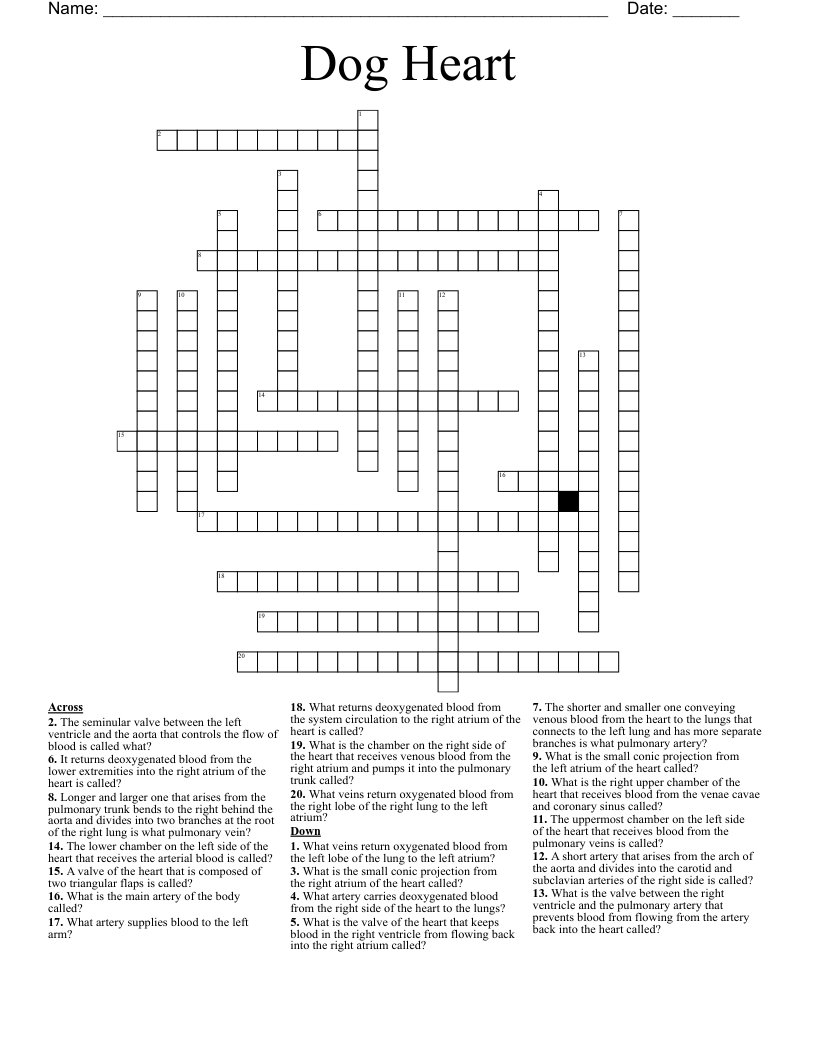 Dog Heart Crossword