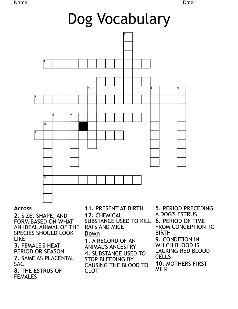 Dog Vocabulary Crossword