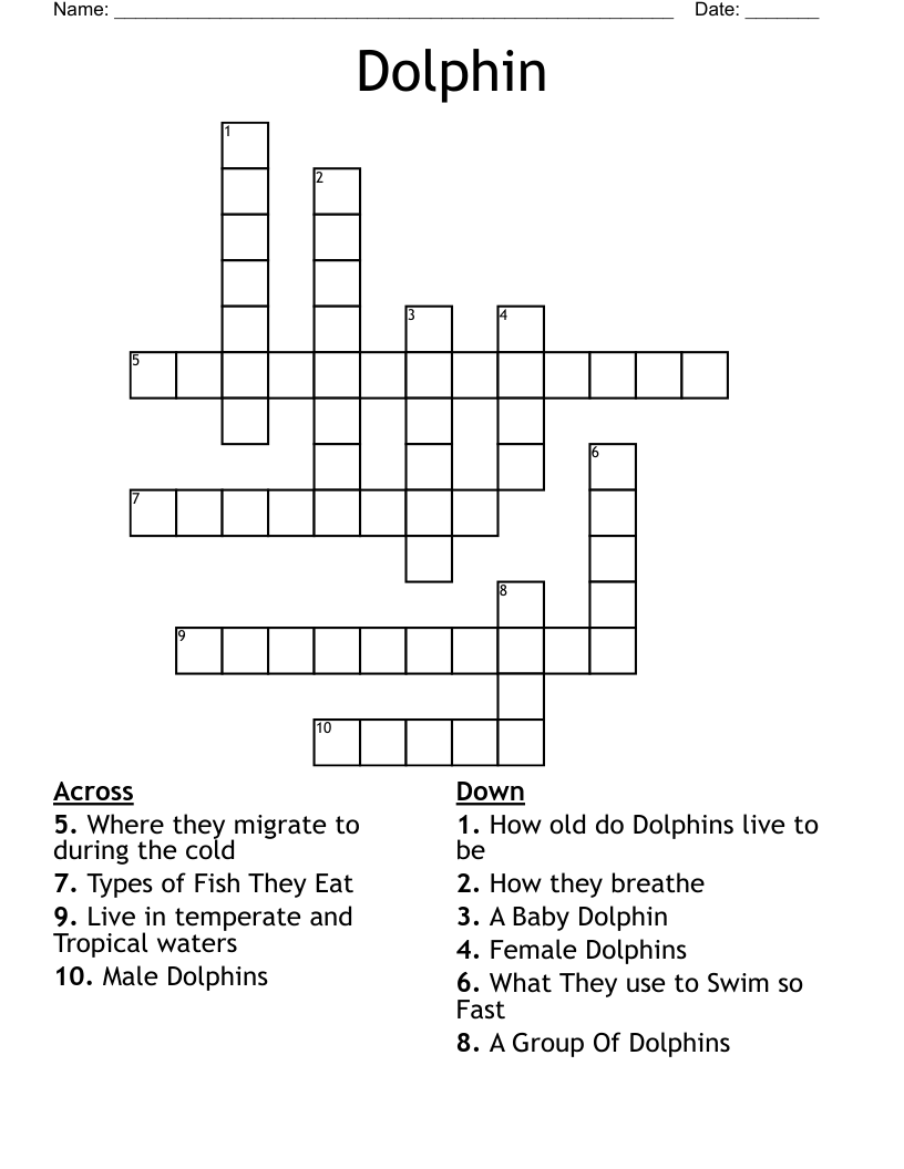 Dolphin Crossword