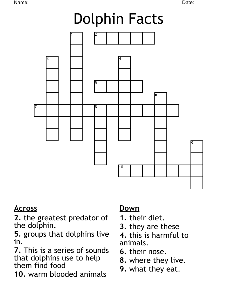 Dolphin Facts Crossword
