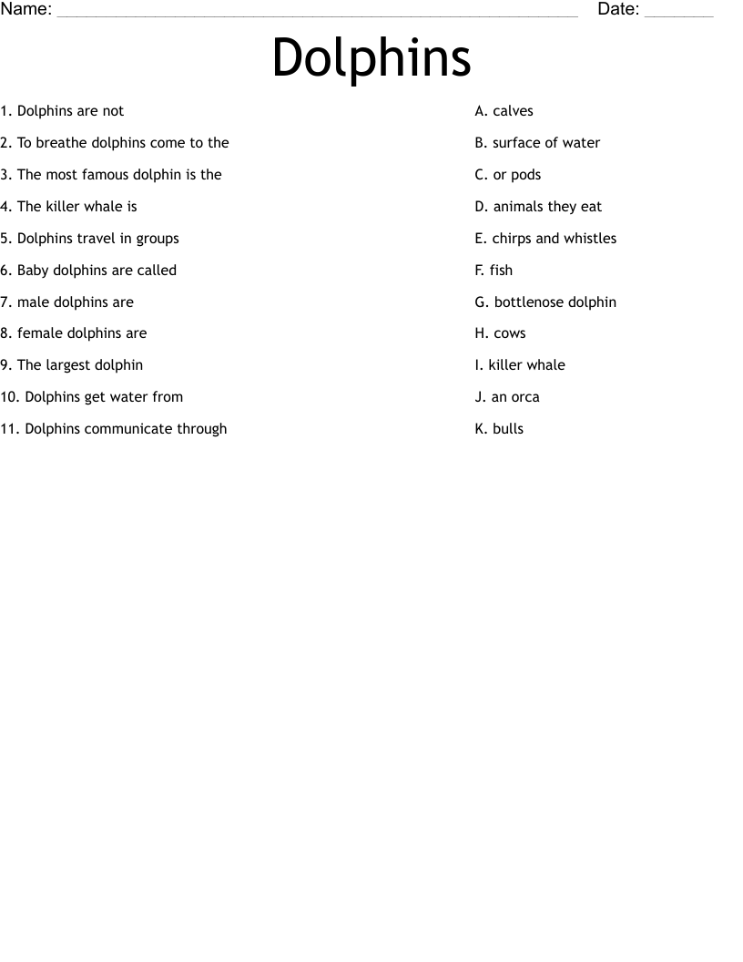 Dolphins Worksheet
