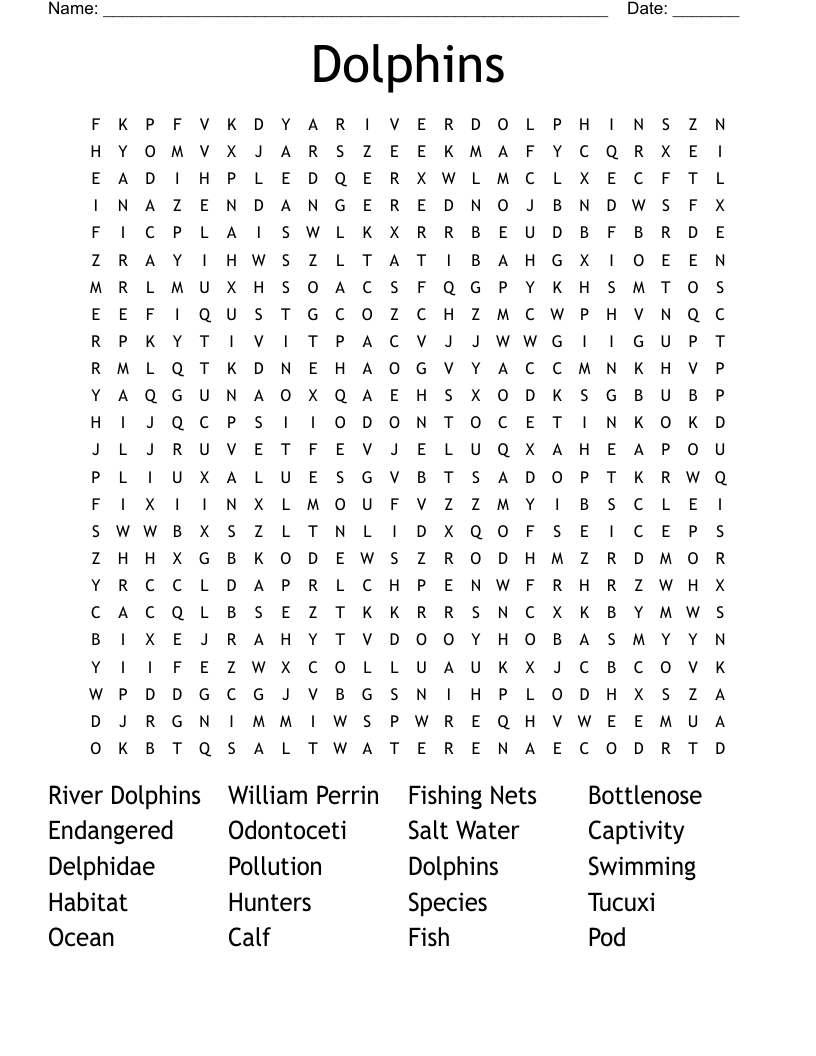 Dolphins Word Search