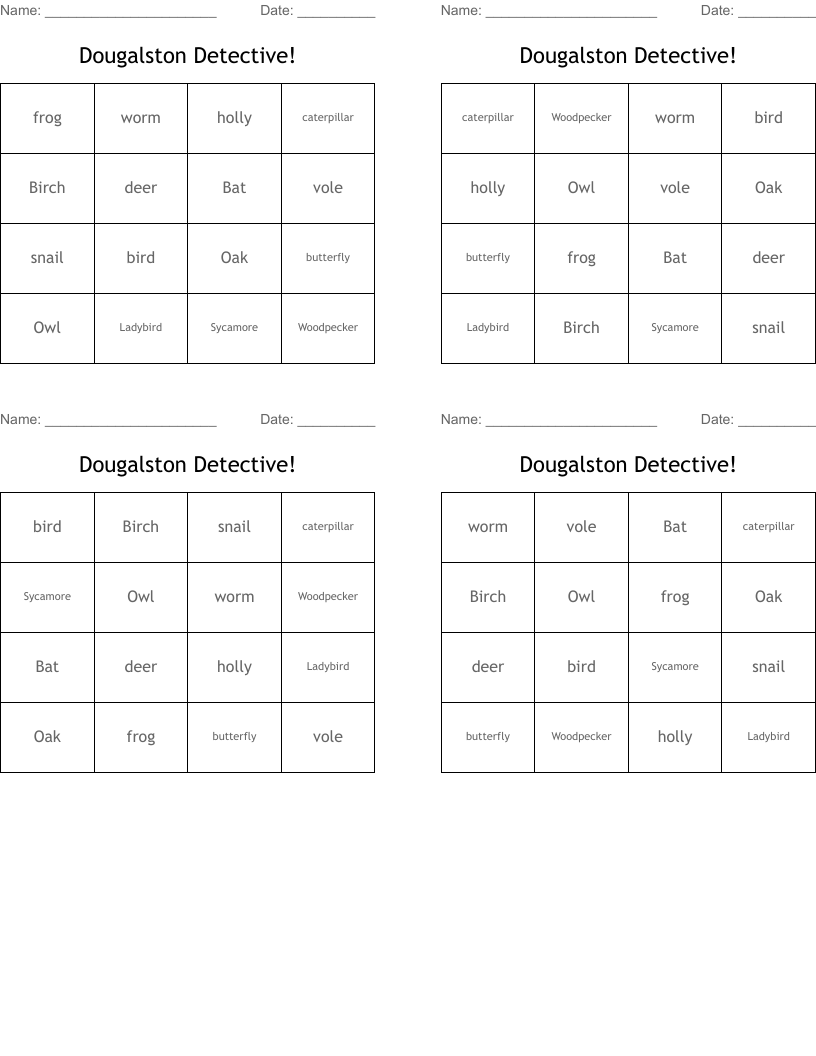 Dougalston Detective!  Bingo Cards
