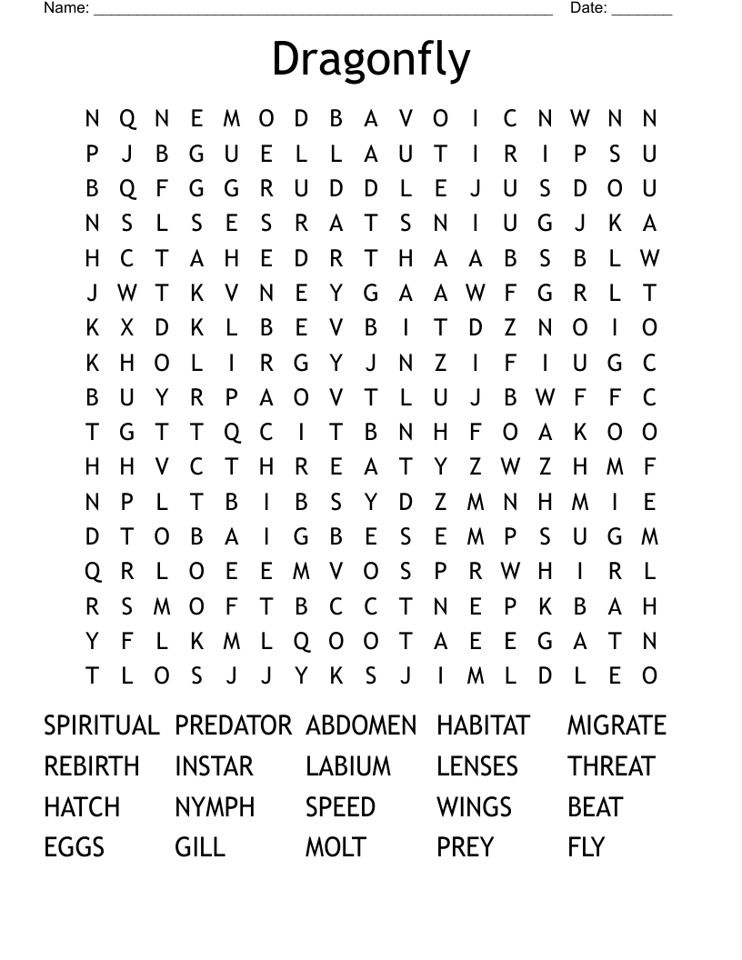 Dragonfly Word Search