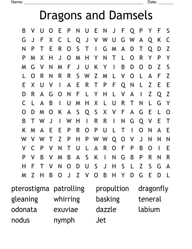 Dragons and Damsels Word Search