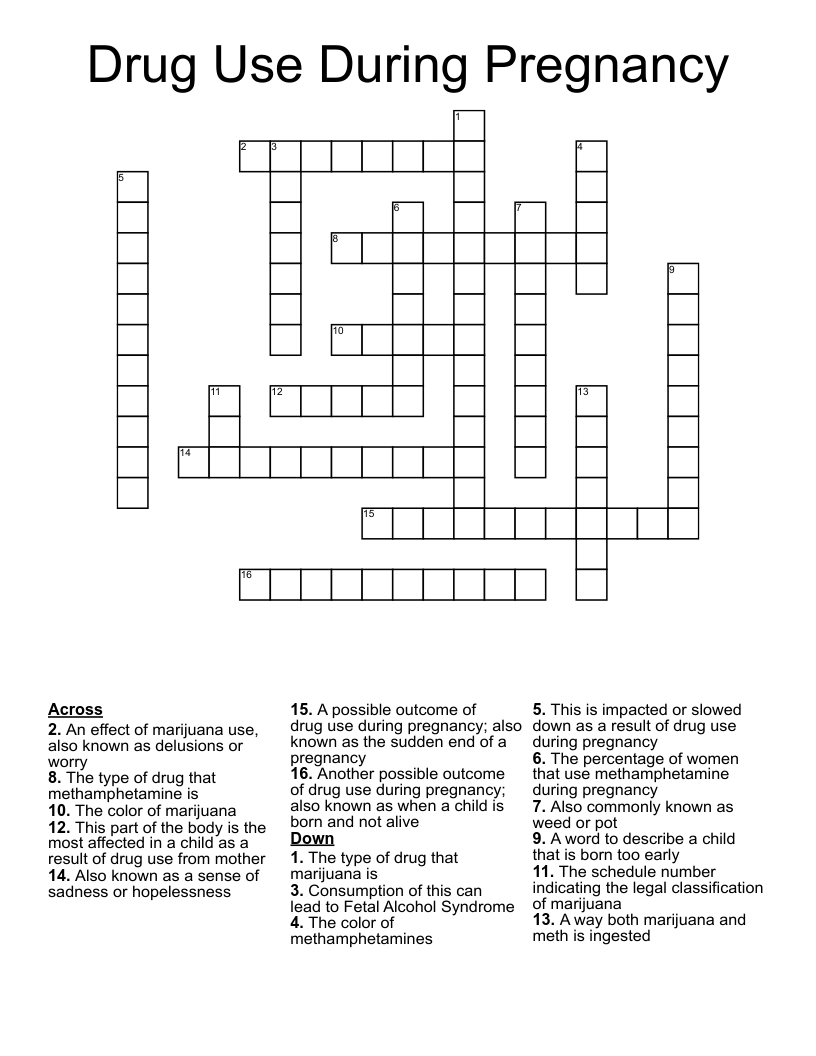 Drug Use During Pregnancy Crossword