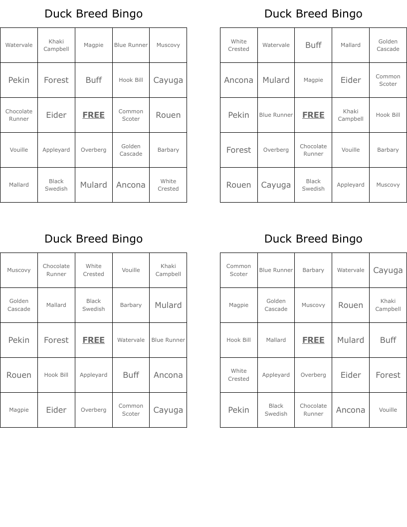 Duck Breed Bingo