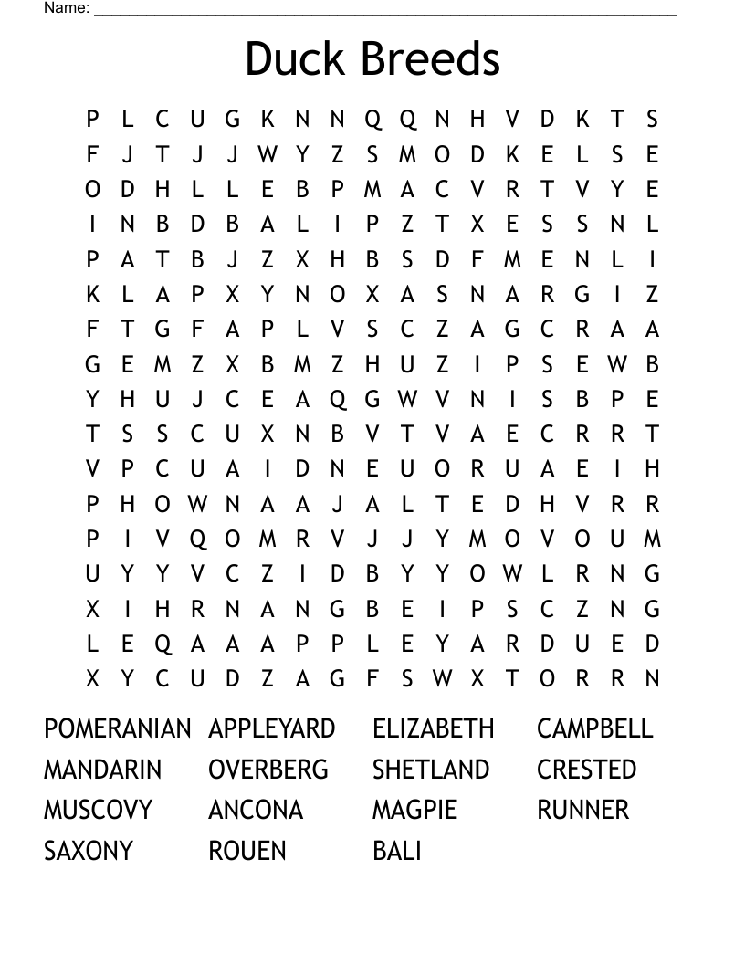 Duck Breeds Word Search