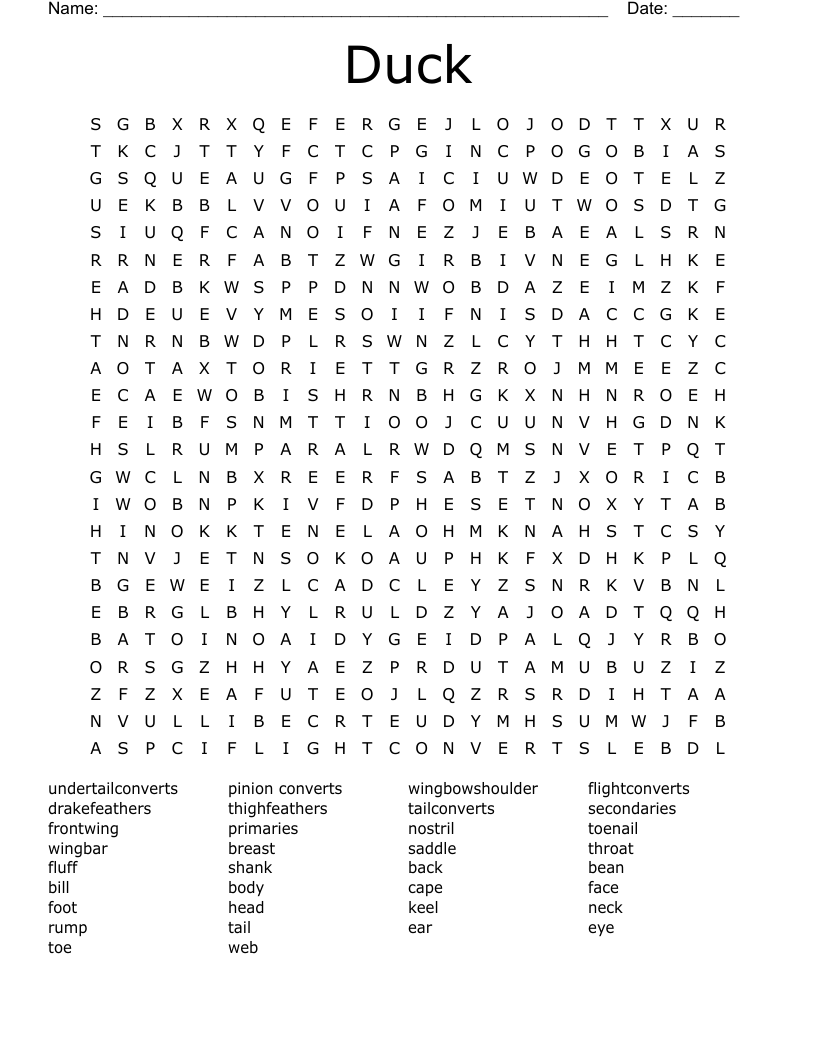 Duck  Word Search