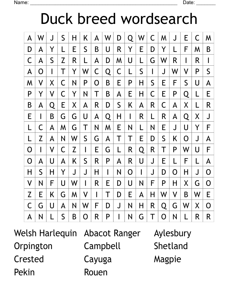 Duck breed wordsearch
