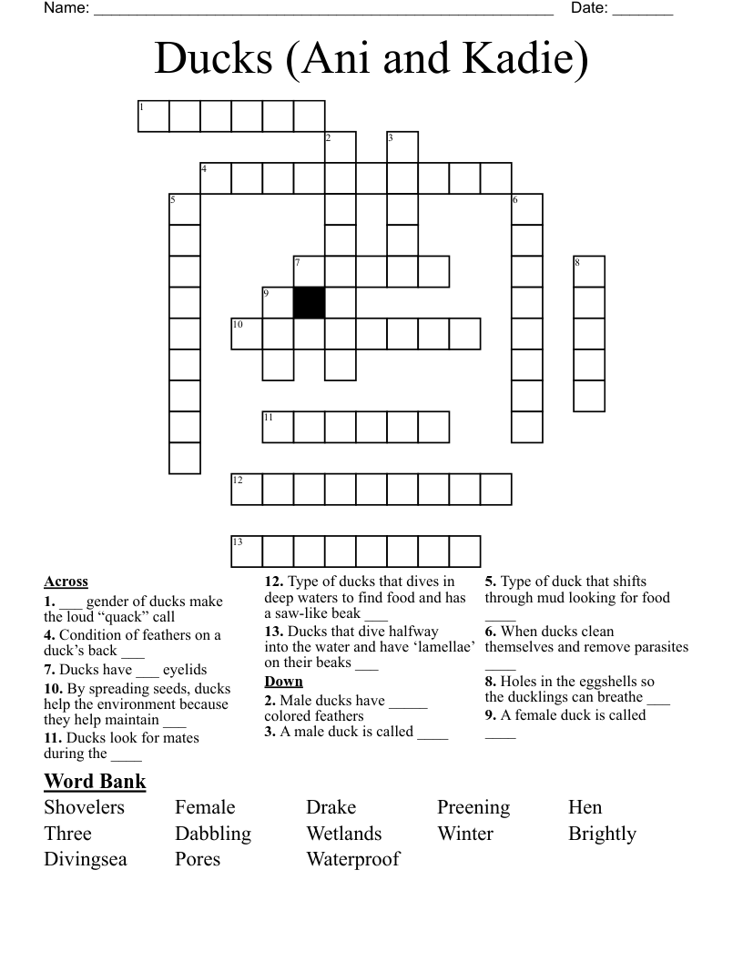 Ducks (Ani and Kadie)  Crossword