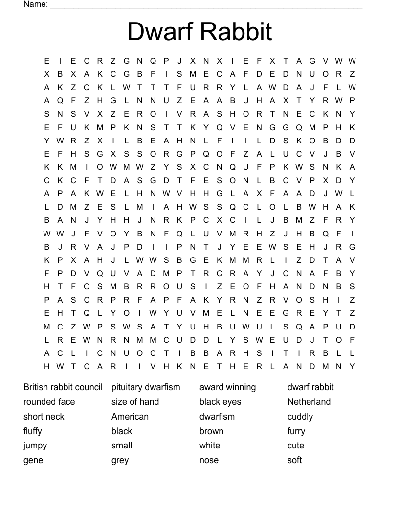 Dwarf Rabbit  Word Search