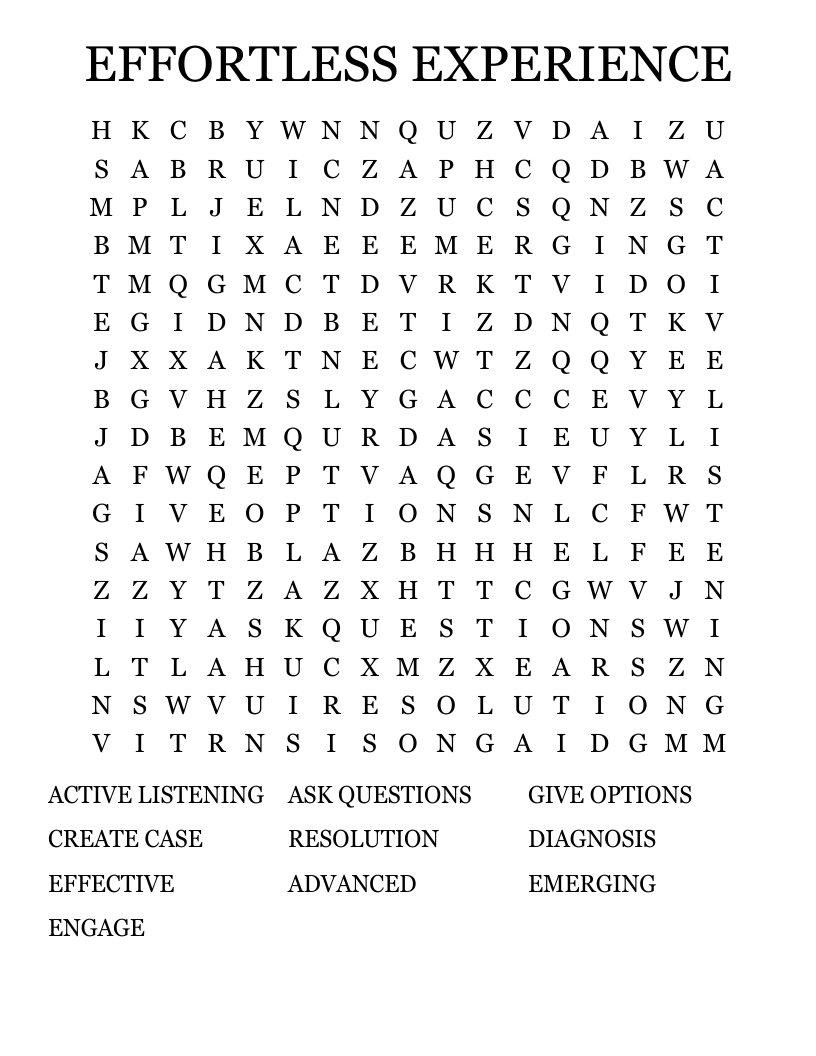 EFFORTLESS EXPERIENCE Word Search