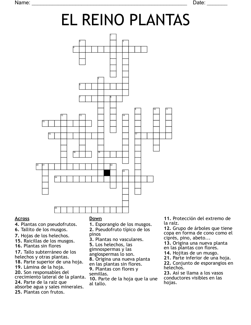 EL REINO PLANTAS Crossword