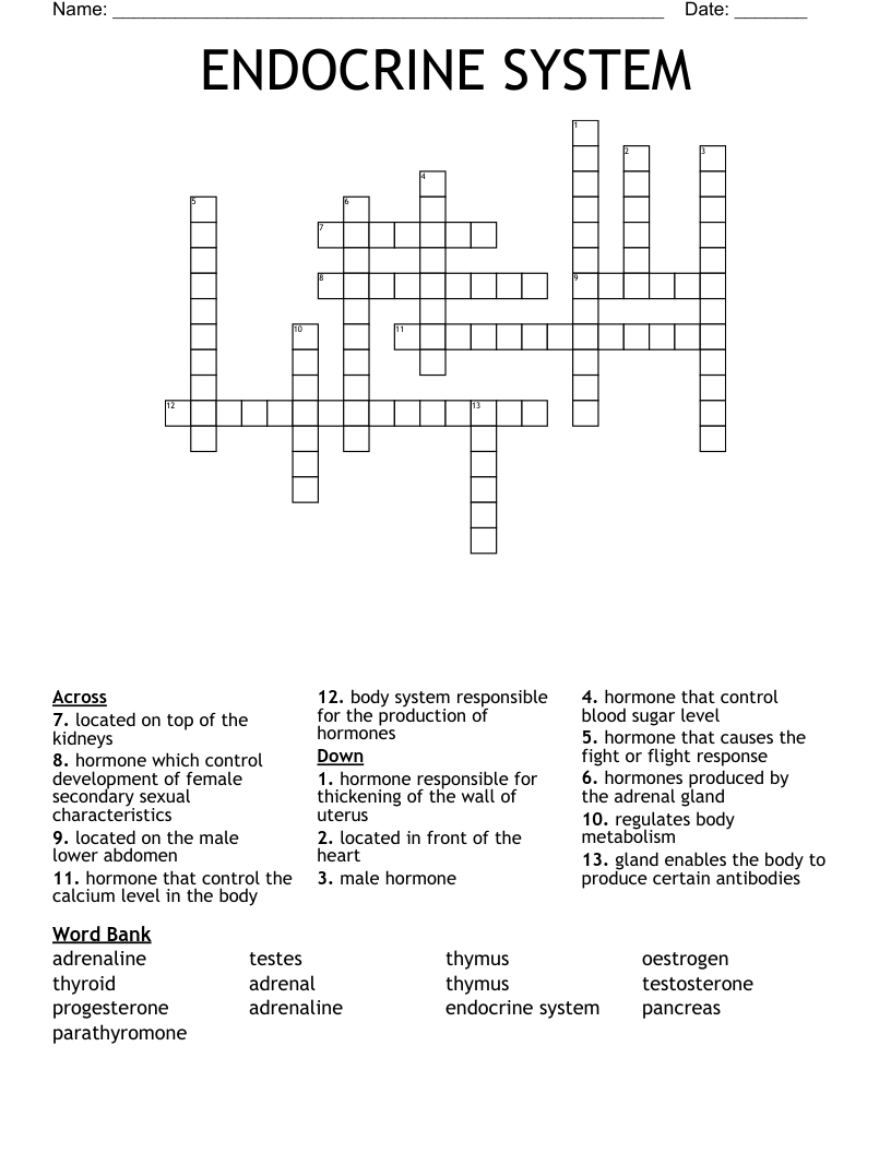 ENDOCRINE SYSTEM Crossword