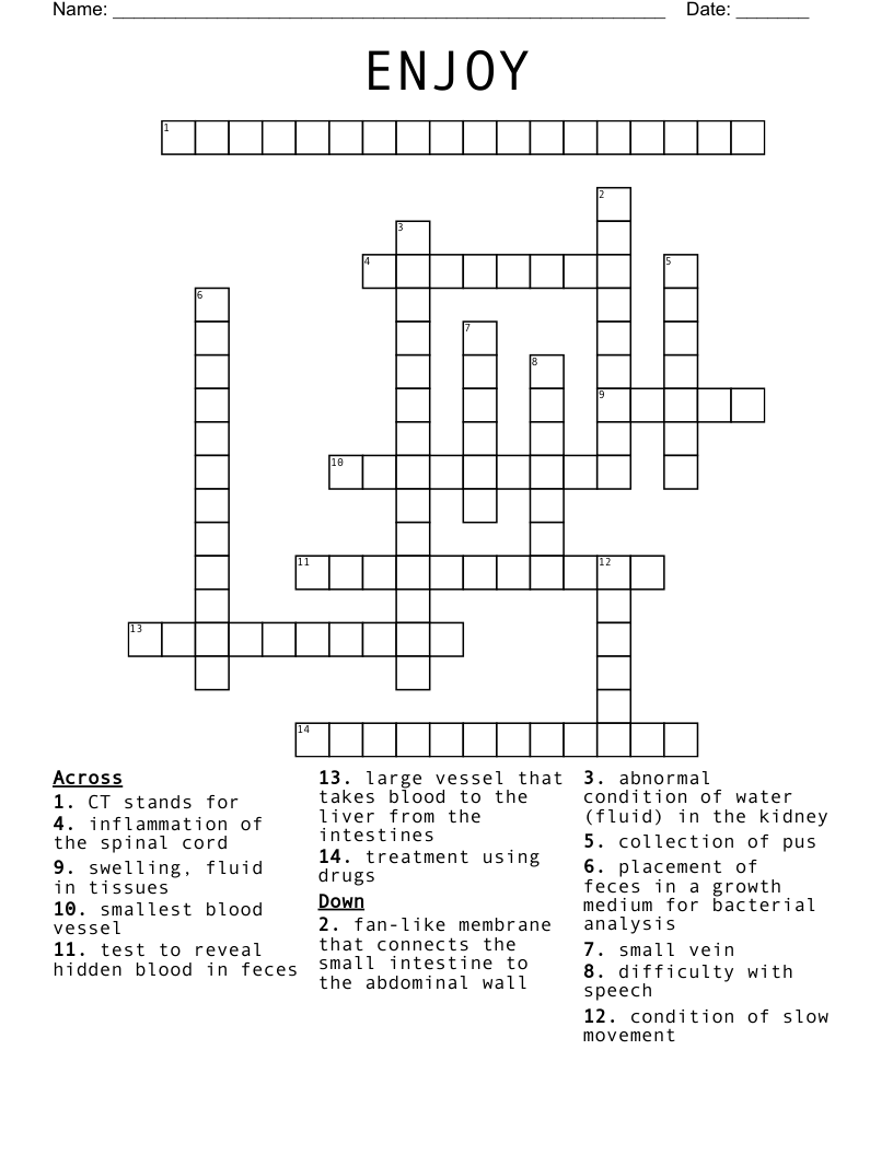 ENJOY Crossword