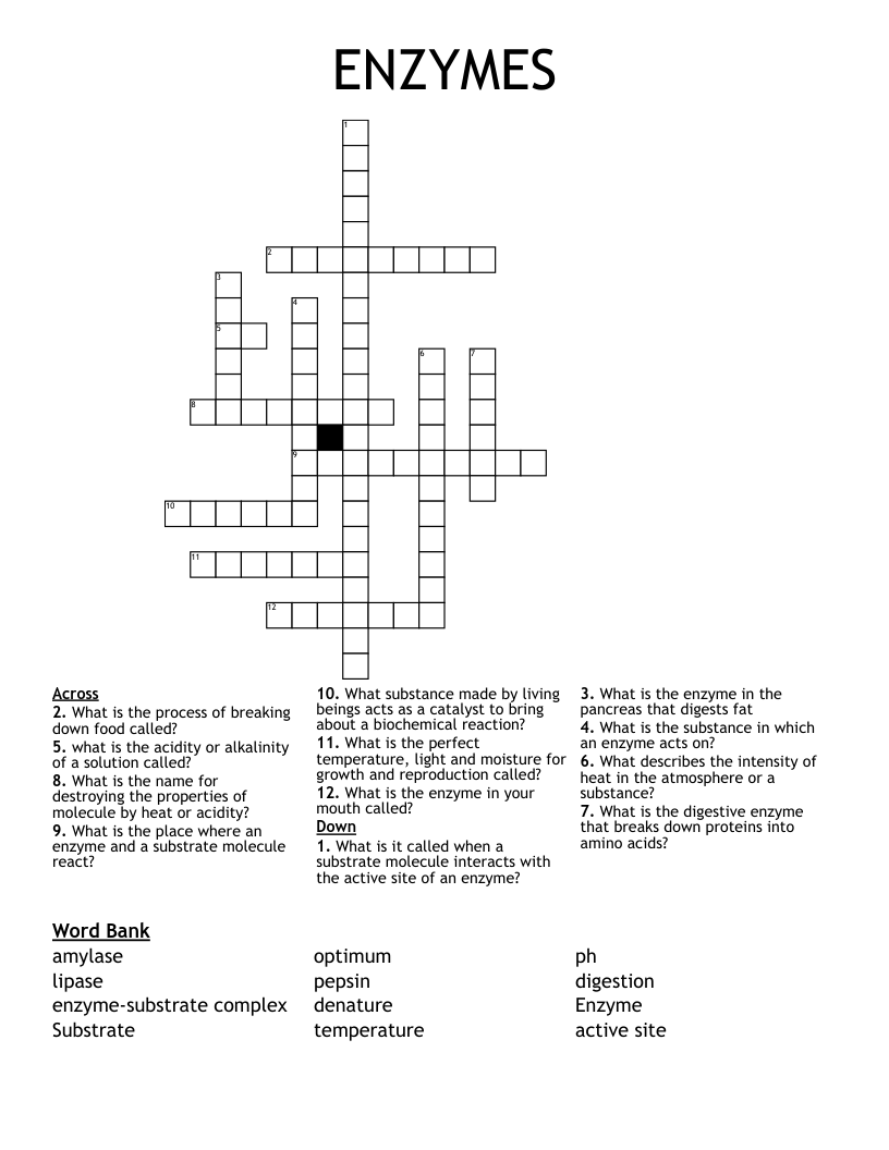 ENZYMES Crossword