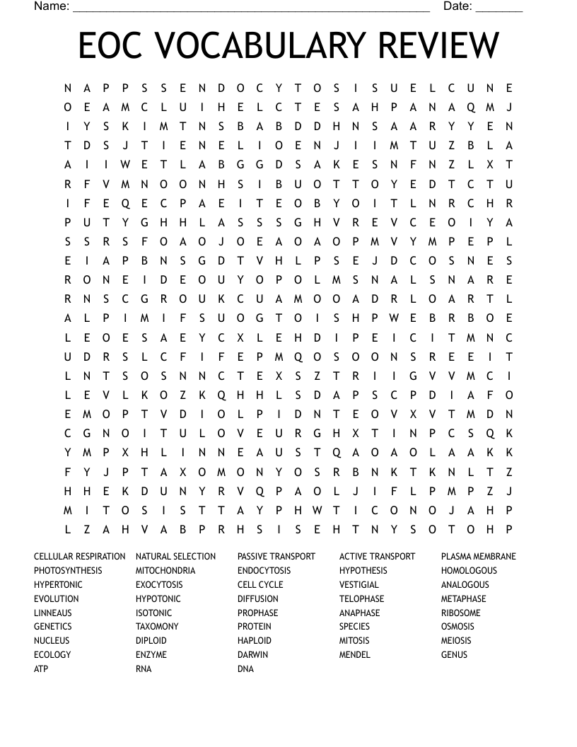 EOC VOCABULARY REVIEW Word Search
