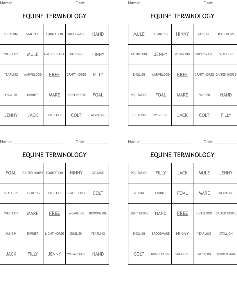EQUINE TERMINOLOGY Bingo Cards