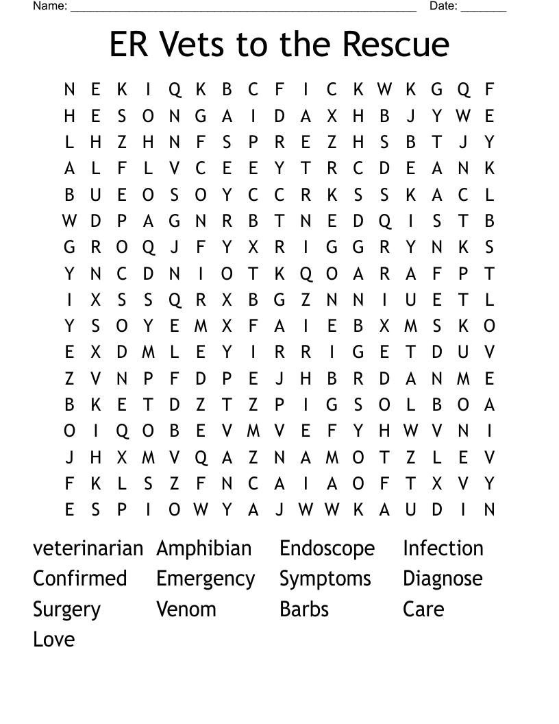 ER Vets to the Rescue Word Search