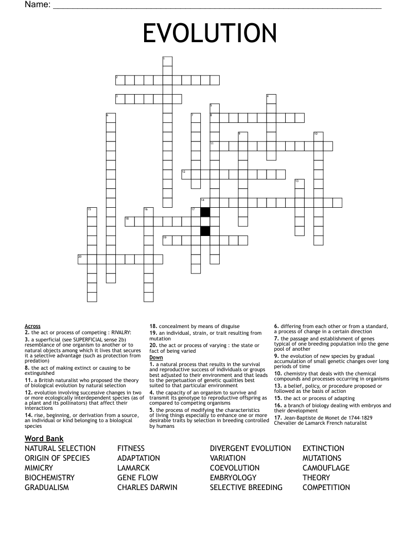 EVOLUTION Crossword