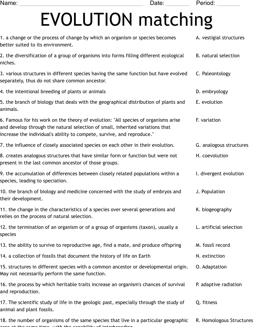 EVOLUTION matching Worksheet