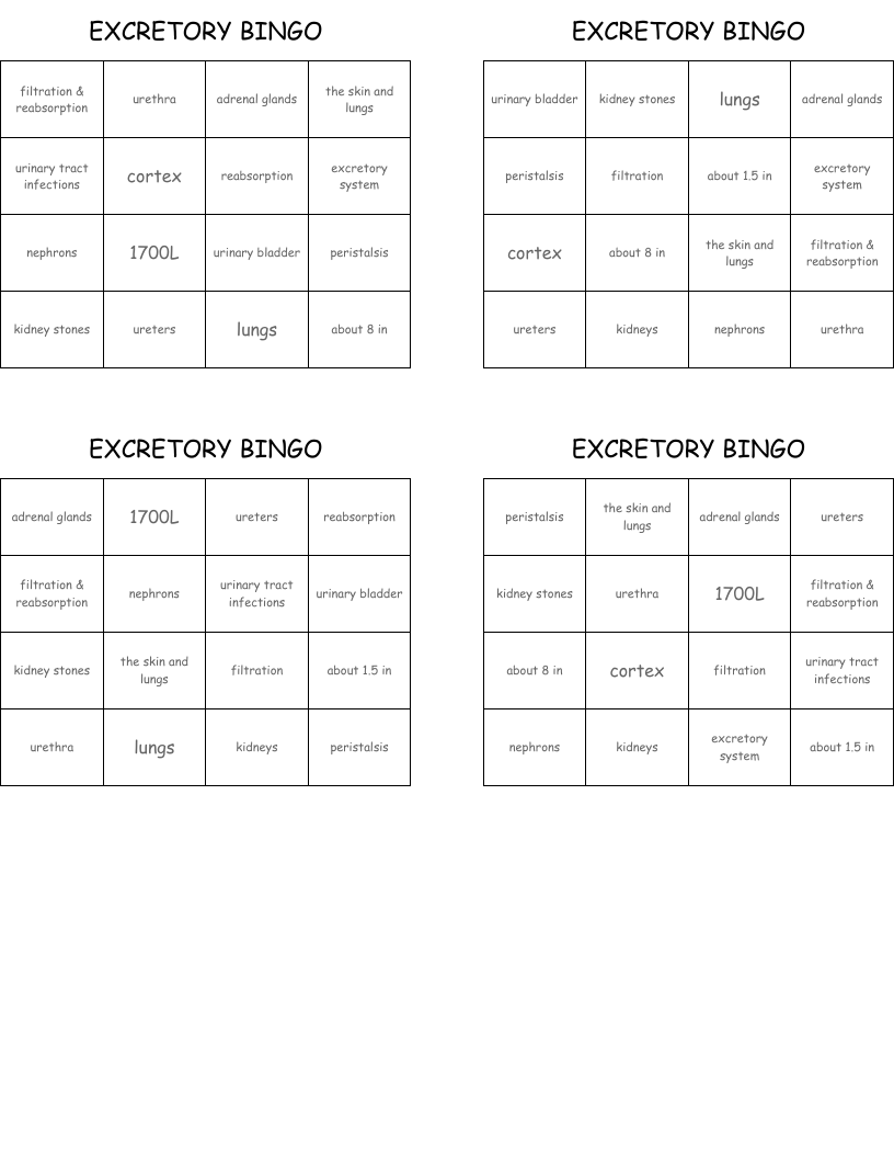 EXCRETORY BINGO