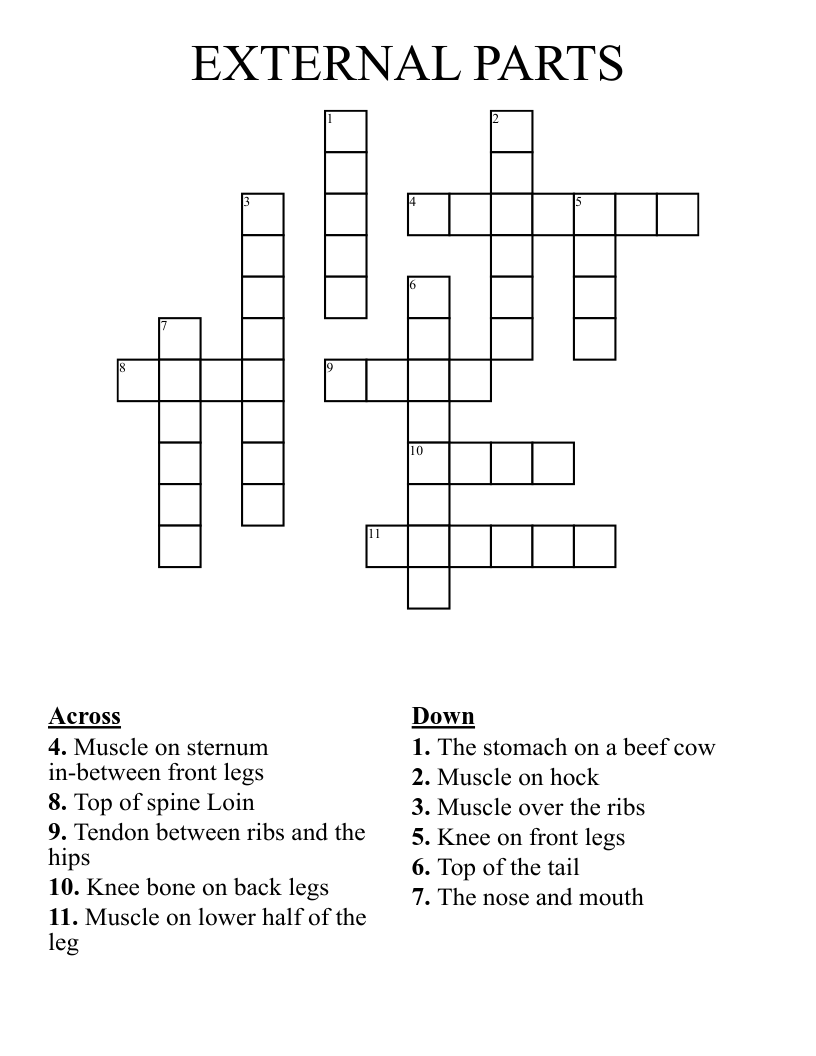 EXTERNAL PARTS Crossword