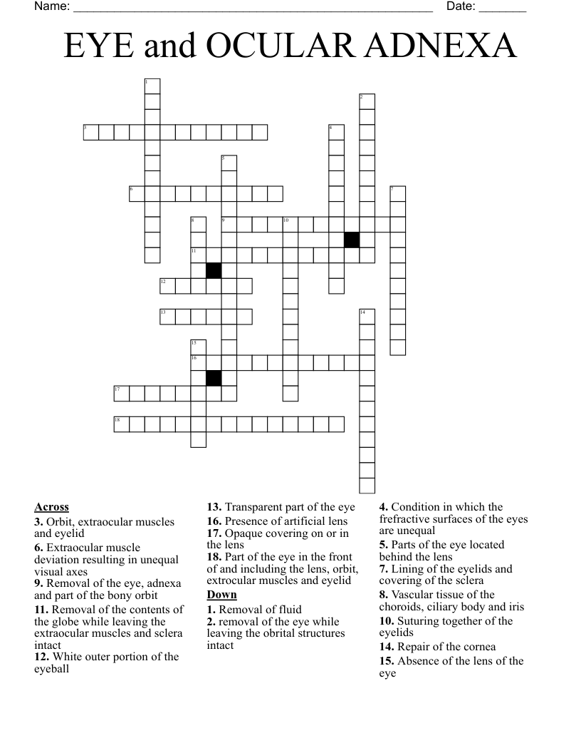 EYE and OCULAR ADNEXA Crossword
