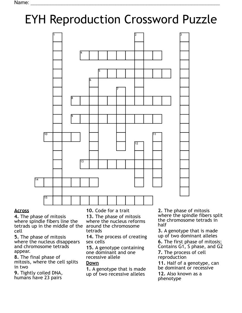 EYH Reproduction Crossword Puzzle