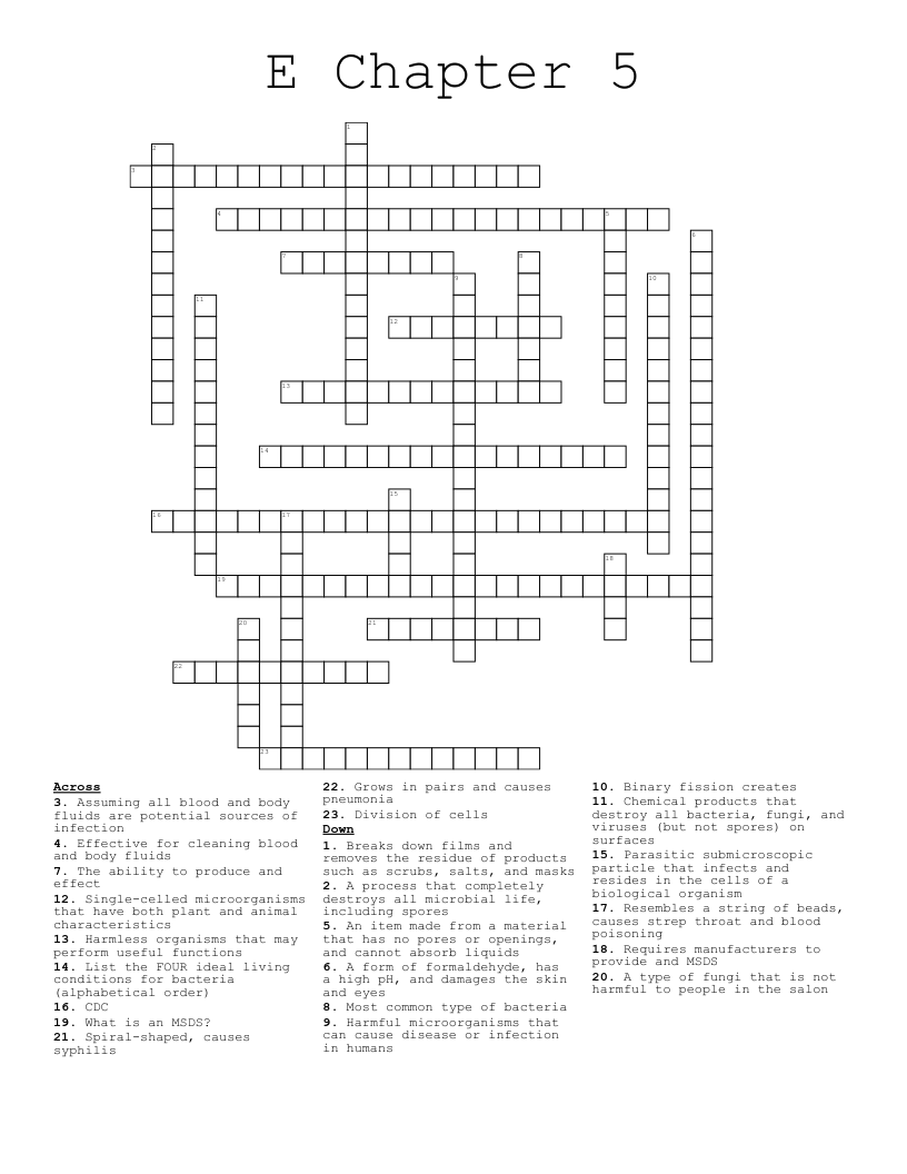 E Chapter 5 Crossword