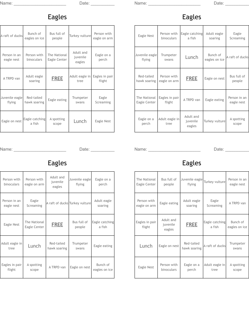 Eagles Bingo Cards