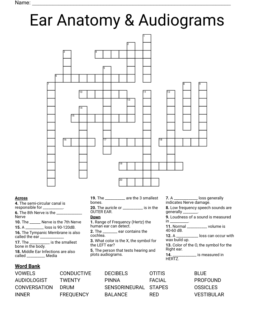 Ear Anatomy & Audiograms Crossword