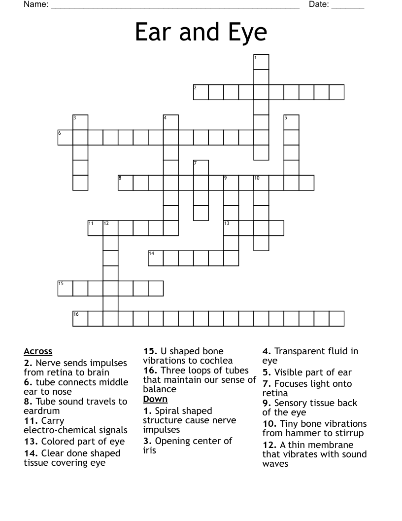 Ear and Eye Crossword