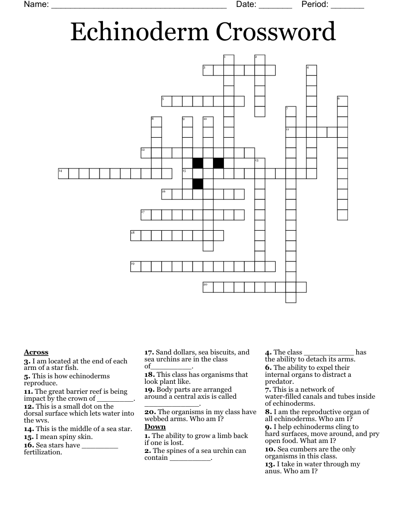 Echinoderm Crossword
