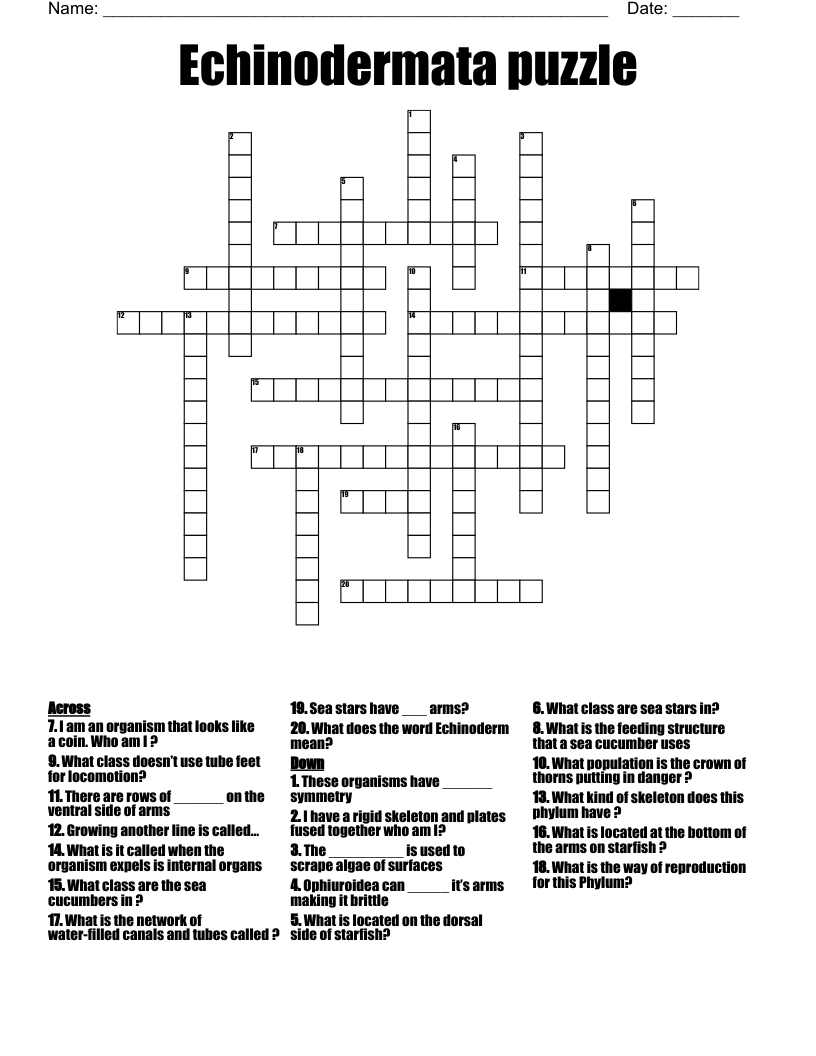 Echinodermata puzzle Crossword