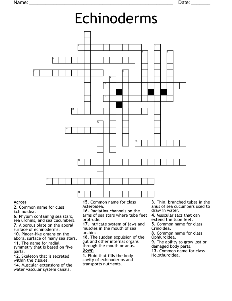 Echinoderms Crossword