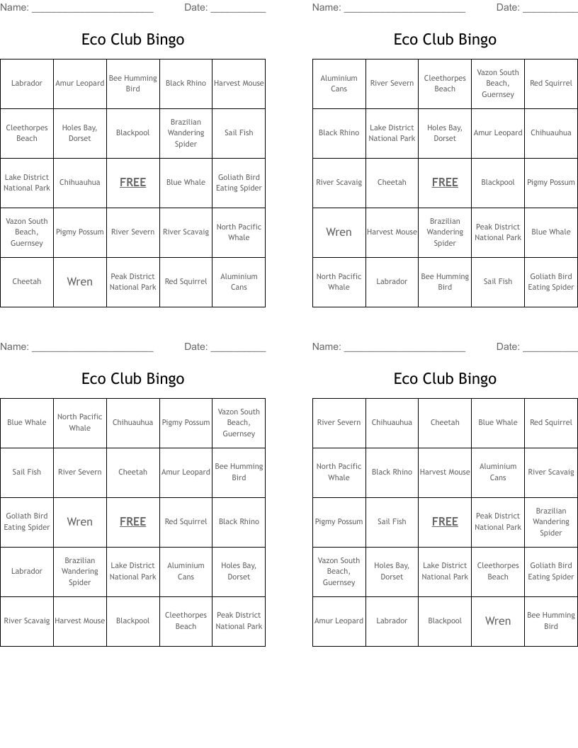 Eco Club Bingo