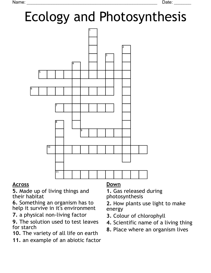 Ecology and Photosynthesis Crossword