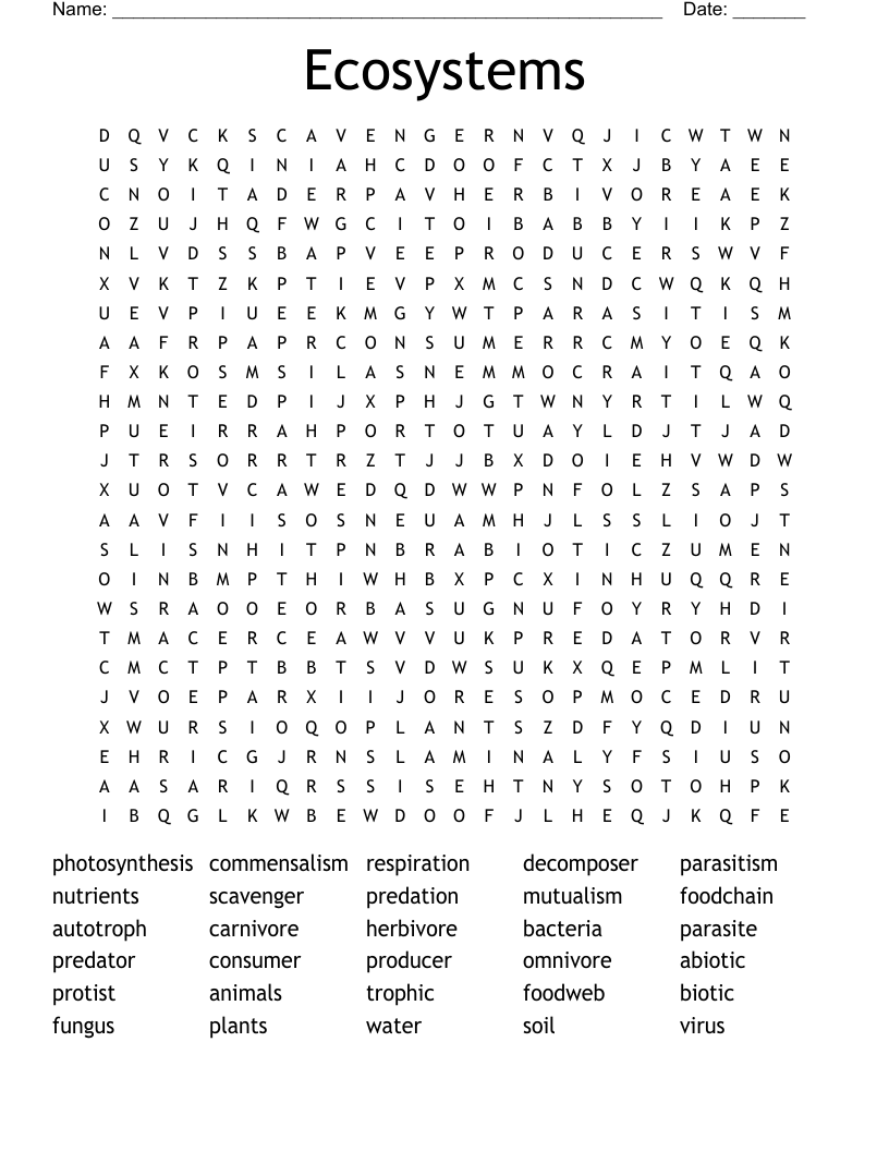 Ecosystems Word Search