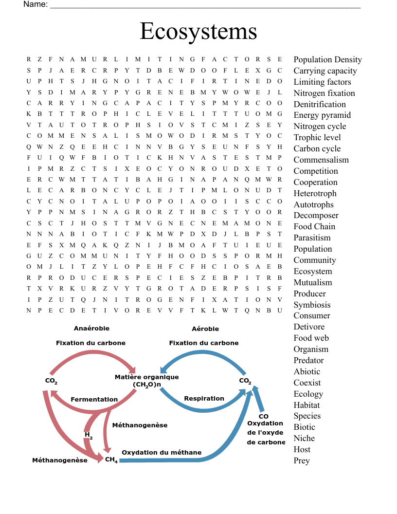 Ecosystems Word Search