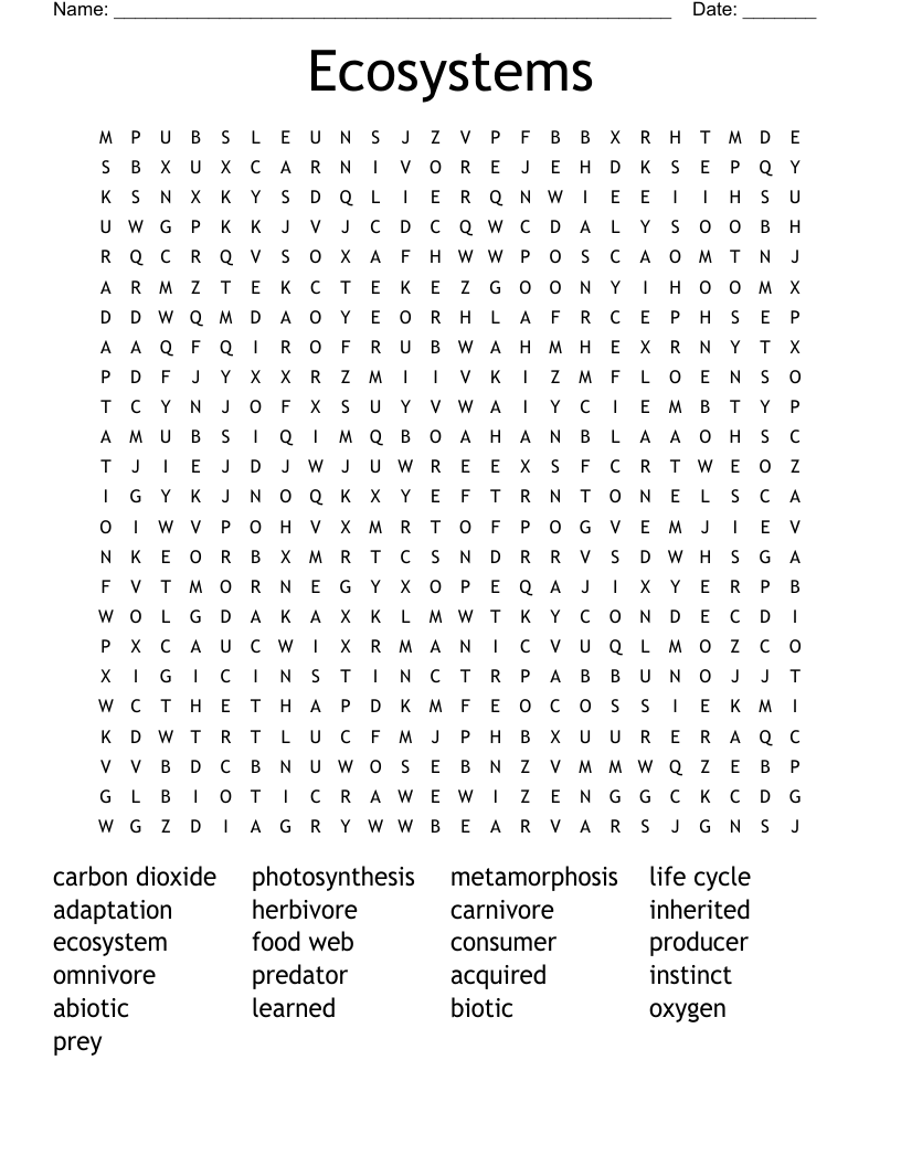 Ecosystems Word Search